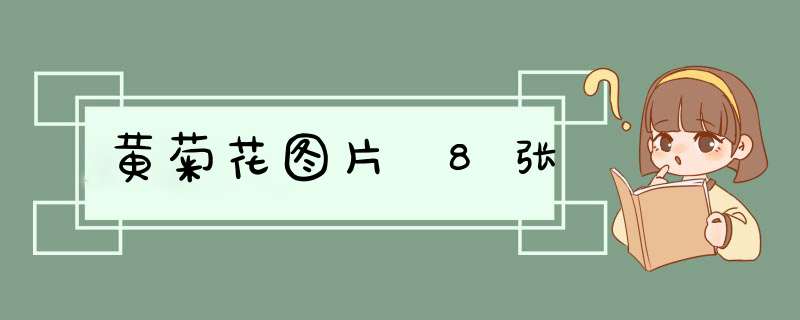 黄菊花图片 8张